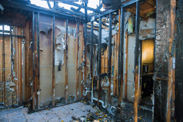 Professional Smoke Damage Removal technician working in Aldie, VA